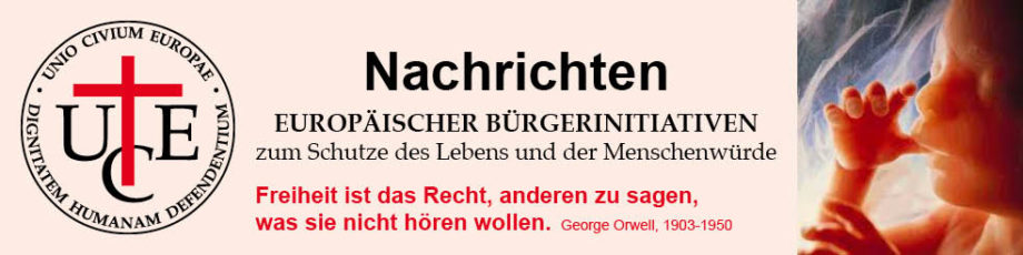 (c) Menschenrechte.online